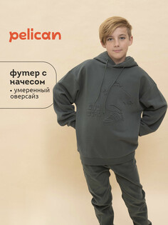 Толстовка Pelican