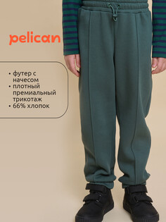 Брюки Pelican