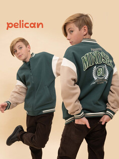 Толстовка Pelican