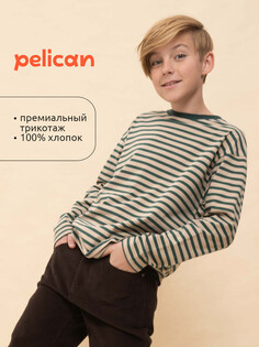 Джемпер Pelican