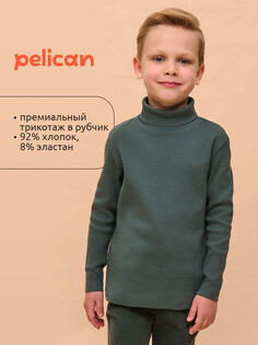 Джемпер Pelican