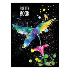 Блокнот ПРОФ-ПРЕСС Скетчбук Колибри