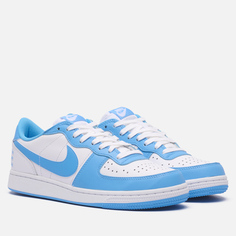 Мужские кроссовки Nike Terminator Low, цвет голубой