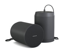 Динамики подвесные CVGaudio SPC6T BL