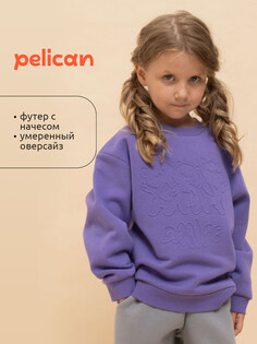 Толстовка Pelican