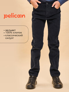 Брюки Pelican