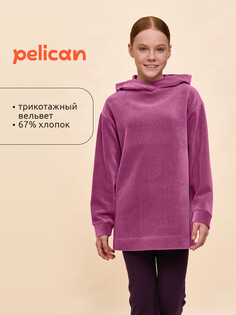 Толстовка Pelican