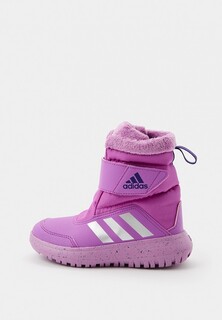 Дутики adidas Winterplay C