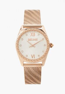 Часы Just Cavalli JC1L313M0045