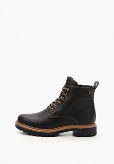 Ботинки T.Taccardi 