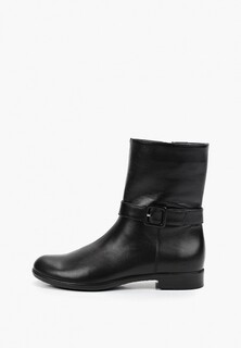 Полусапоги Argo 