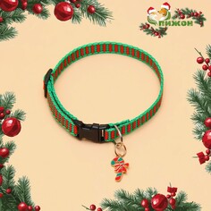 Ошейник + новогодний подвес Пижон