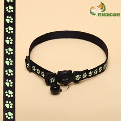 Ошейник кошачий Пижон