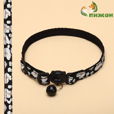 Ошейник кошачий Пижон