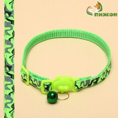 Ошейник кошачий пижон