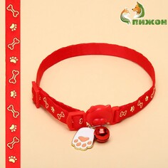 Ошейник кошачий пижон