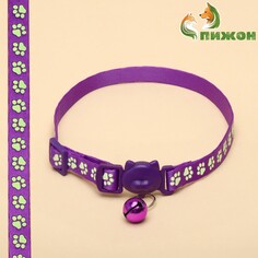 Ошейник кошачий Пижон