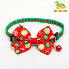Ошейник Пижон