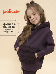 Толстовка Pelican