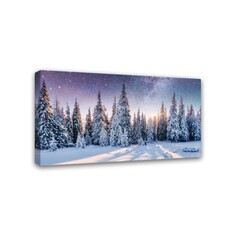 Печатная картина Симфония на деревянном подрамнике "зимний лес", 50*100 см