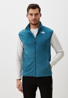 Жилет утепленный The North Face 100 Glacier Vest