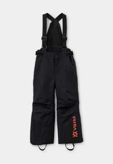 Брюки горнолыжные Volkl 
