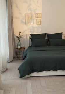 Пододеяльник Евро DeNastia 200x220 см