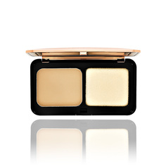 Пудра для лица STELLARY COMPACT POWDER компактная тон 04 Песочно-бежевый