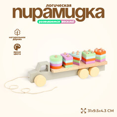Пирамидка логическая NO Brand