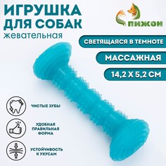 Жевательная игрушка для собак пижон