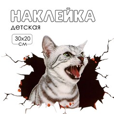 Наклейка 3д интерьерная котик 30*20см Take IT Easy