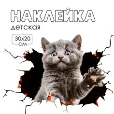 Наклейка 3д интерьерная котик 30*20см Take IT Easy