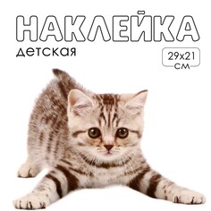 Наклейка 3д интерьерная котик 29*21см Take IT Easy