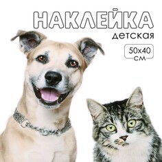 Наклейка 3д интерьерная домашние питомцы 50*40см Take IT Easy