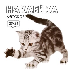 Наклейка 3д интерьерная котик 29*21см Take IT Easy