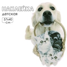 Наклейка 3д интерьерная домашние питомцы 57*40см Take IT Easy