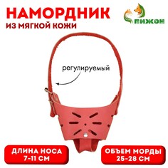 Намордник регулируемый из мягкой кожи, размер № 5, дн 7-11 см, ом 25-28 см, коричневый Пижон