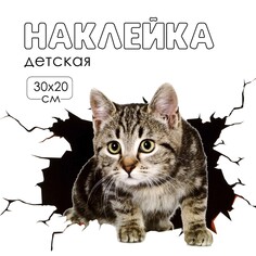Наклейка 3д интерьерная котик 30*20см Take IT Easy