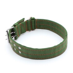 Ошейник четырехслойный с вертлюгом, 80 х 4,9 см, ош 64-74 см, полиэстер, зеленый Пижон