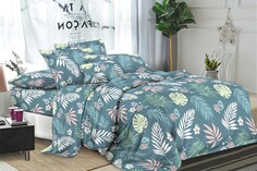 Постельное белье (2-х сп с евро простыней) Esmiehome