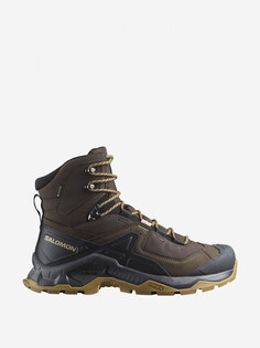 Ботинки мужские Salomon Quest Element GTX, Коричневый