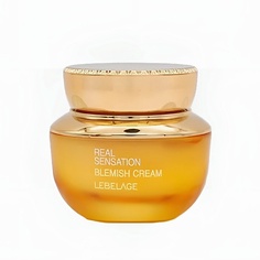 Крем для лица LEBELAGE Крем от пигментных пятен REAL SENSATION BLEMISH CREAM 50.0
