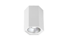 Светильник накладной ELEKTROSTANDARD 25036/LED