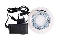 Светодиодная лента CAMELION DSL-008
