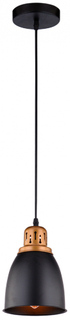 Светильник подвесной Arte Lamp Eurica (A4248SP-1BK) Eurica (A4248SP-1BK)