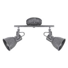 Спот Arte Lamp Jovi A1677PL-2GY Jovi A1677PL-2GY
