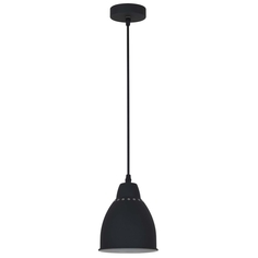 Светильник подвесной Camelion PL-430S-1 С02 PL-430S-1 С02