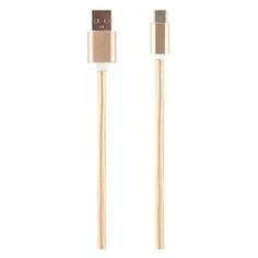 Кабель Red Line USB Type-C 3.0, нейлоновая оплетка, 1 м, золотистый (УТ000013409) USB Type-C 3.0, нейлоновая оплетка, 1 м, золотистый (УТ000013409)