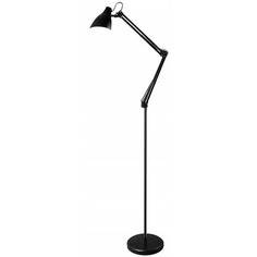 Напольный светильник Camelion KD-332 C02 KD-332 C02