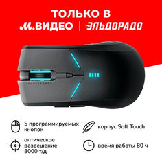 Игровая мышь Thunderobot ML702 SE Black (JT00FJ000RU) ML702 SE Black (JT00FJ000RU)